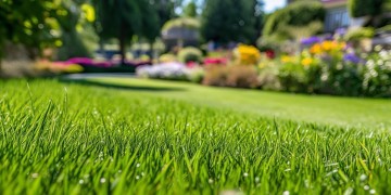 绿茵豪苑是否有专业物业管理？