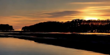 滨江金茂府物业费用贵吗？
