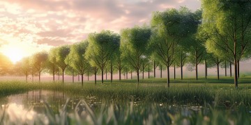 碧桂园物业愿景究竟是什么？