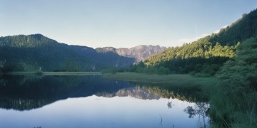 恒大小区租房有物业吗？