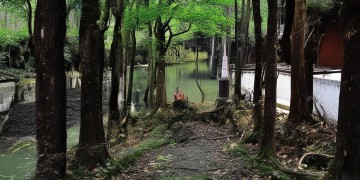 宝鸡物业有权停水吗？